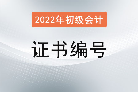 初級會計資格證書編號是哪個？