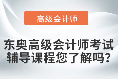 東奧高級(jí)會(huì)計(jì)師考試輔導(dǎo)課程您了解嗎？
