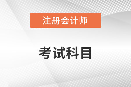 注冊會計師考試科目