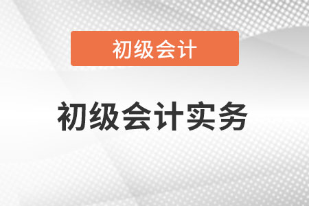 初級會(huì)計(jì)實(shí)務(wù)