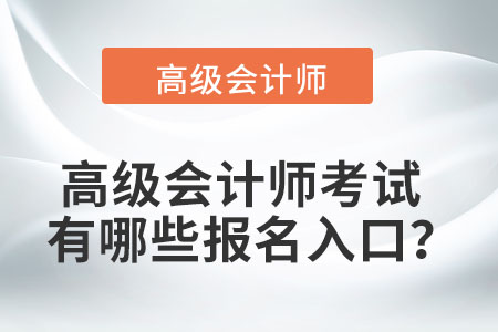 高級(jí)會(huì)計(jì)師考試有哪些報(bào)名入口？