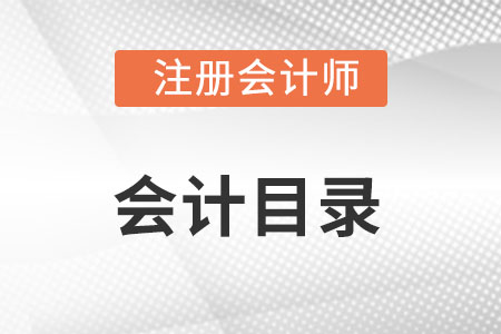 cpa會(huì)計(jì)目錄內(nèi)容有哪些新變化？