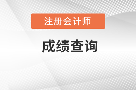 cpa成績(jī)查詢(xún)?nèi)肟诠倬W(wǎng)在哪里？