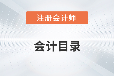 注冊(cè)會(huì)計(jì)師會(huì)計(jì)目錄2022年有變化嗎？