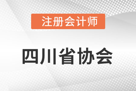 四川省樂(lè)山注冊(cè)會(huì)計(jì)師協(xié)會(huì)網(wǎng)址是什么?