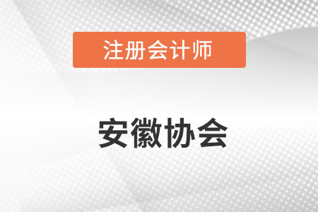 安徽省宿州注冊(cè)會(huì)計(jì)師協(xié)會(huì)官網(wǎng)網(wǎng)址具體是什么呢？