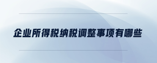 企業(yè)所得稅納稅調(diào)整事項有哪些