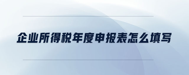 企業(yè)所得稅年度申報表怎么填寫