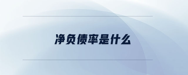 凈負債率是什么