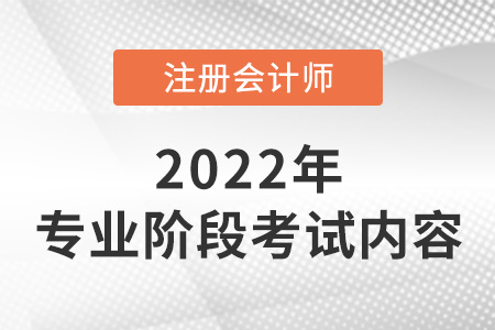 2022年注冊(cè)會(huì)計(jì)師專業(yè)階段考什么？