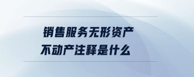 銷售服務(wù)無(wú)形資產(chǎn)不動(dòng)產(chǎn)注釋是什么