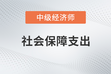 社會保障支出_2022中級經(jīng)濟師財稅備考知識點