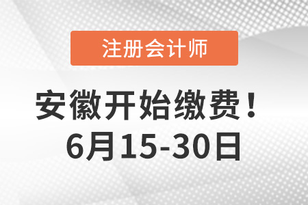 2023年安徽地區(qū)注會報名費用是多少？點擊完成交費！