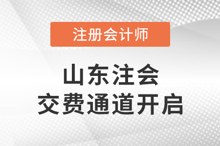 2023年山東省臨沂cpa交費(fèi)入口已開(kāi)啟！點(diǎn)擊進(jìn)入交費(fèi)入口！