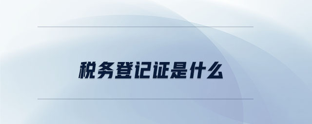 稅務登記證是什么