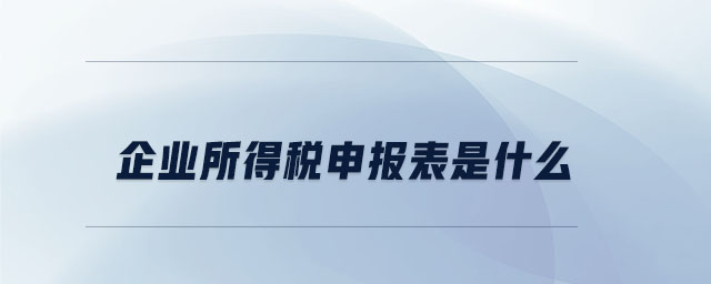 企業(yè)所得稅申報表是什么