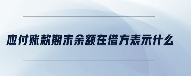應付賬款期末余額在借方表示什么
