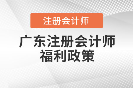 廣東省汕尾注冊會計師福利政策