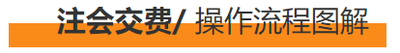 注會交費(fèi)流程圖