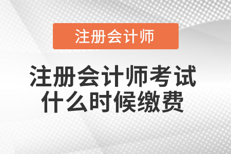注冊會計師考試什么時候繳費