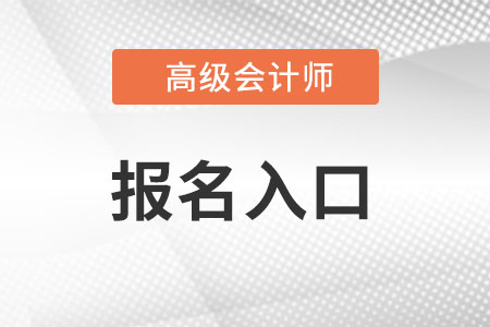 高級會(huì)計(jì)師報(bào)名入口是什么