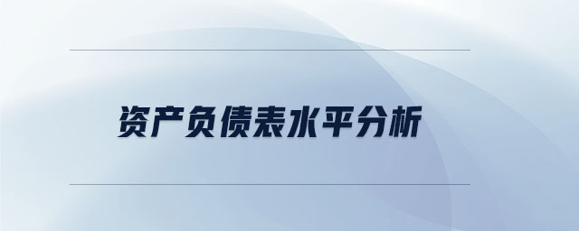 資產(chǎn)負(fù)債表水平分析