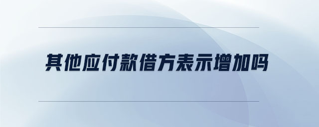 其他應付款借方表示增加嗎