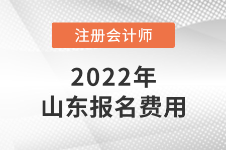 2022年山東省威海注冊會計師報名費用是多少？