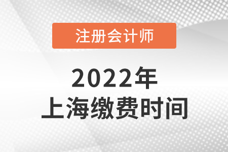 上海市楊浦區(qū)注冊(cè)會(huì)計(jì)師繳費(fèi)時(shí)間2022年