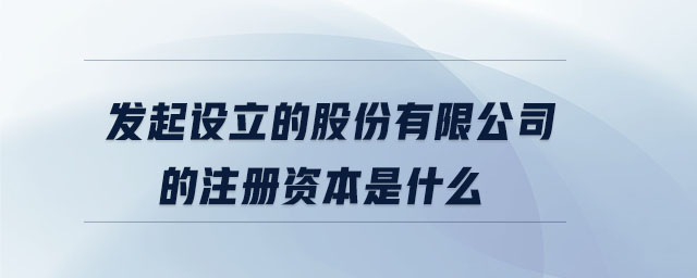 發(fā)起設(shè)立的股份有限公司的注冊(cè)資本是什么