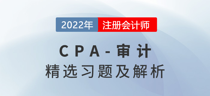 2022年注冊會計師審計精選習(xí)題——第一章審計概述