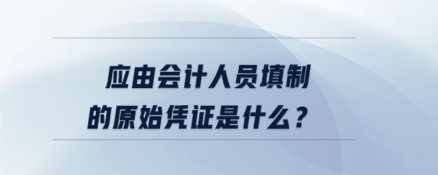 應(yīng)由會計人員填制的原始憑證是什么？