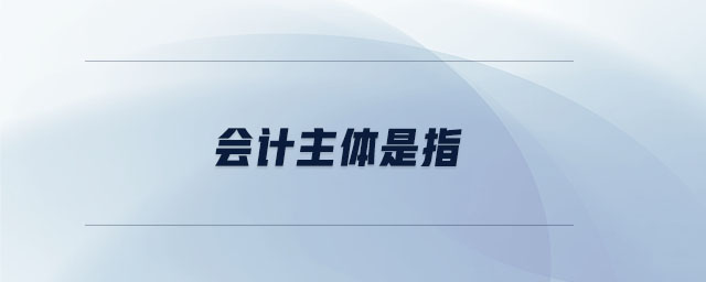 會計(jì)主體是指