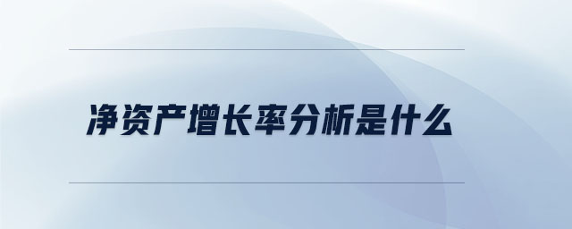 凈資產(chǎn)增長率分析是什么