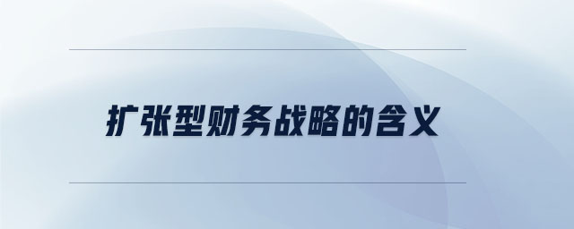 擴(kuò)張型財務(wù)戰(zhàn)略的含義