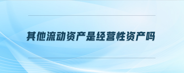 其他流動資產(chǎn)是經(jīng)營性資產(chǎn)嗎