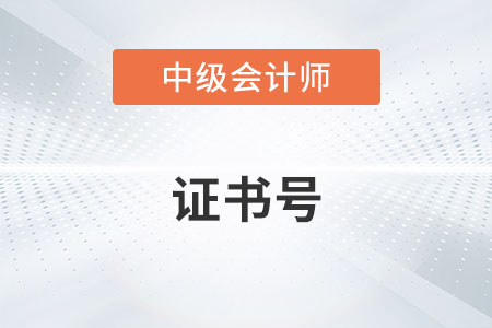 中級會計證書編碼是管理號嗎？