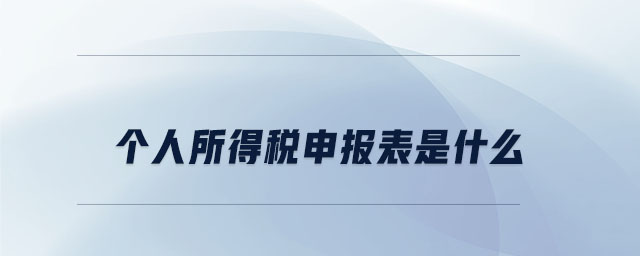 個(gè)人所得稅申報(bào)表是什么