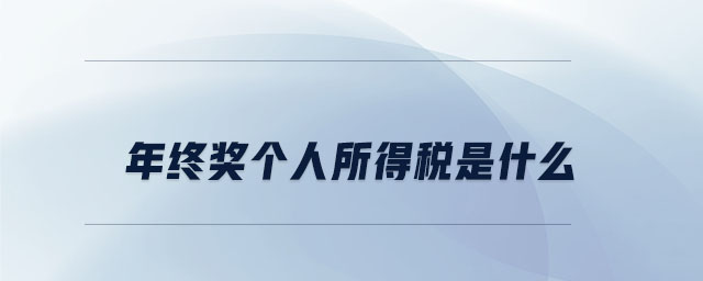 年終獎(jiǎng)個(gè)人所得稅是什么