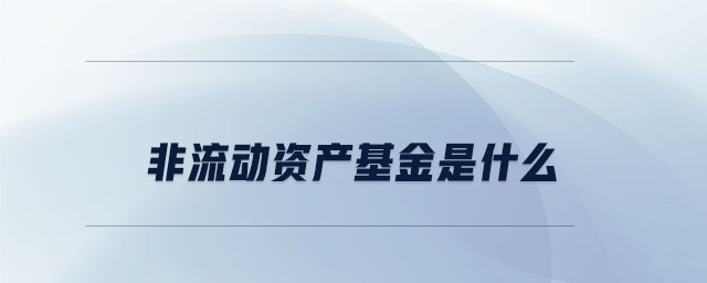 非流動資產(chǎn)基金是什么