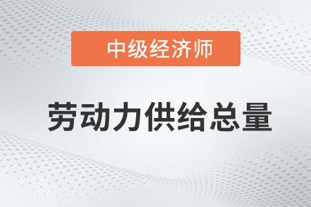 勞動(dòng)力供給總量_2022中級(jí)經(jīng)濟(jì)師人力資源知識(shí)點(diǎn)