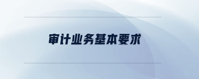 審計業(yè)務基本要求