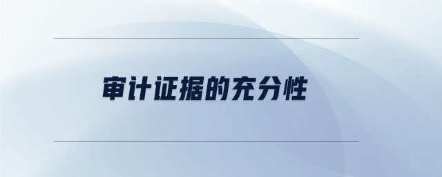 審計證據(jù)的充分性