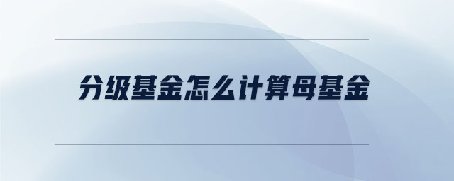 分級基金怎么計(jì)算母基金