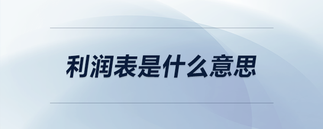 利潤表是什么意思