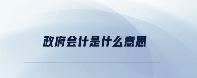 政府會計(jì)是什么意思