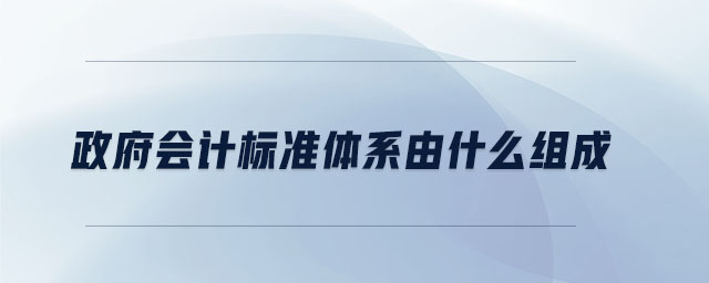 政府會(huì)計(jì)標(biāo)準(zhǔn)體系由什么組成