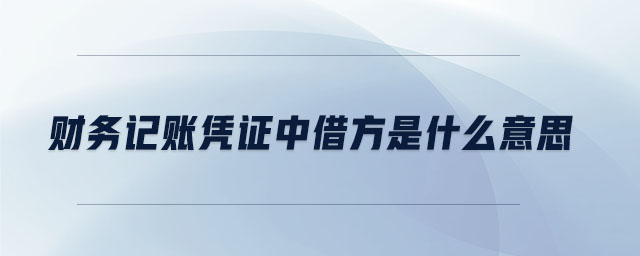 財務(wù)記賬憑證中借方是什么意思