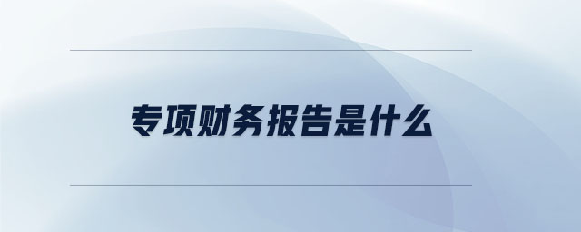 專項(xiàng)財(cái)務(wù)報(bào)告是什么