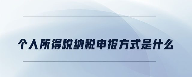 個(gè)人所得稅納稅申報(bào)方式是什么